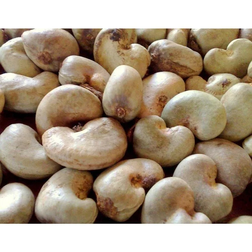 Conakry Raw Cashew Nuts