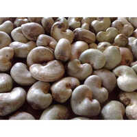 Raw Cashew Nuts In Shell IVC