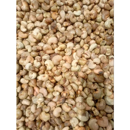 Dried Raw Cashew Nut - Cultivation Type: Organic
