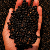 Black Pepper Spices