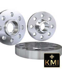 SS Industrial Flange