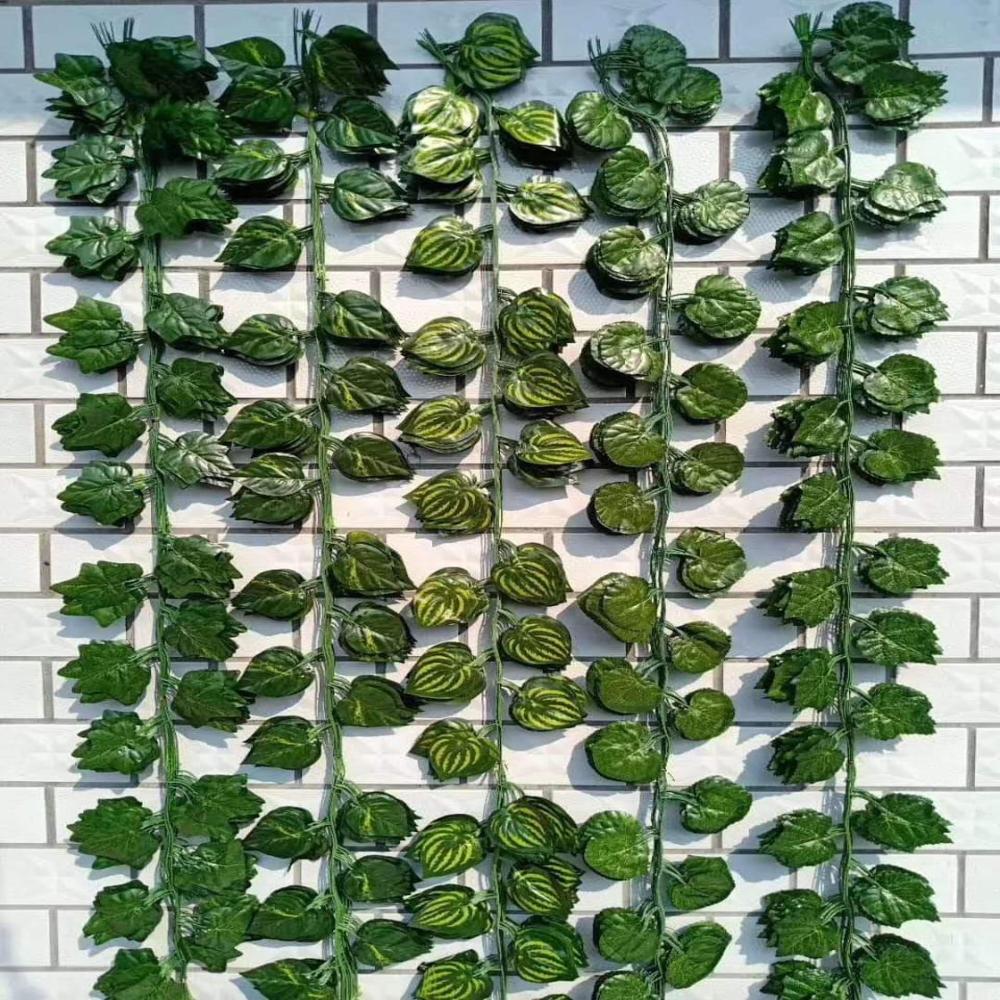 Mani Plant Climber - Color: Green