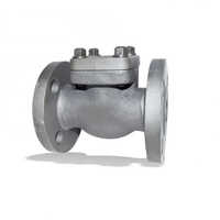 Forged Piston Check Valve - Color: Silver