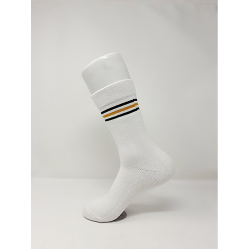 SSTERRY02 School Socks