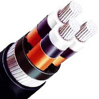 Polycab 3 Core Ht Power Cable