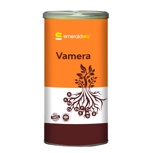 Vamera (Mycorrhiza) - Application: Agriculture