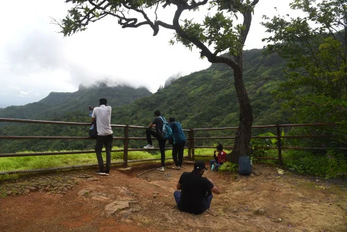 Wedding Photographers Services