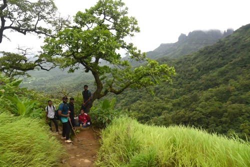 Wedding Photographers Services