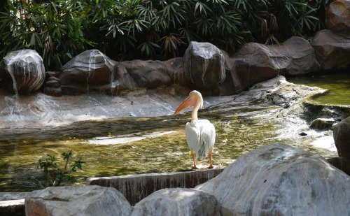 Product Photography Services