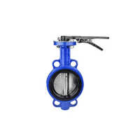 Cast Iron Butterfly Valve - Color: Customized