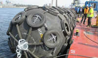 Pneumatic Apple Fenders