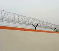 Concertina Coil Security Fencing