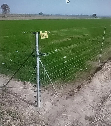 Solar Agriculture Fencing