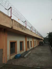 Galvanized Iron concertina coil Fencing