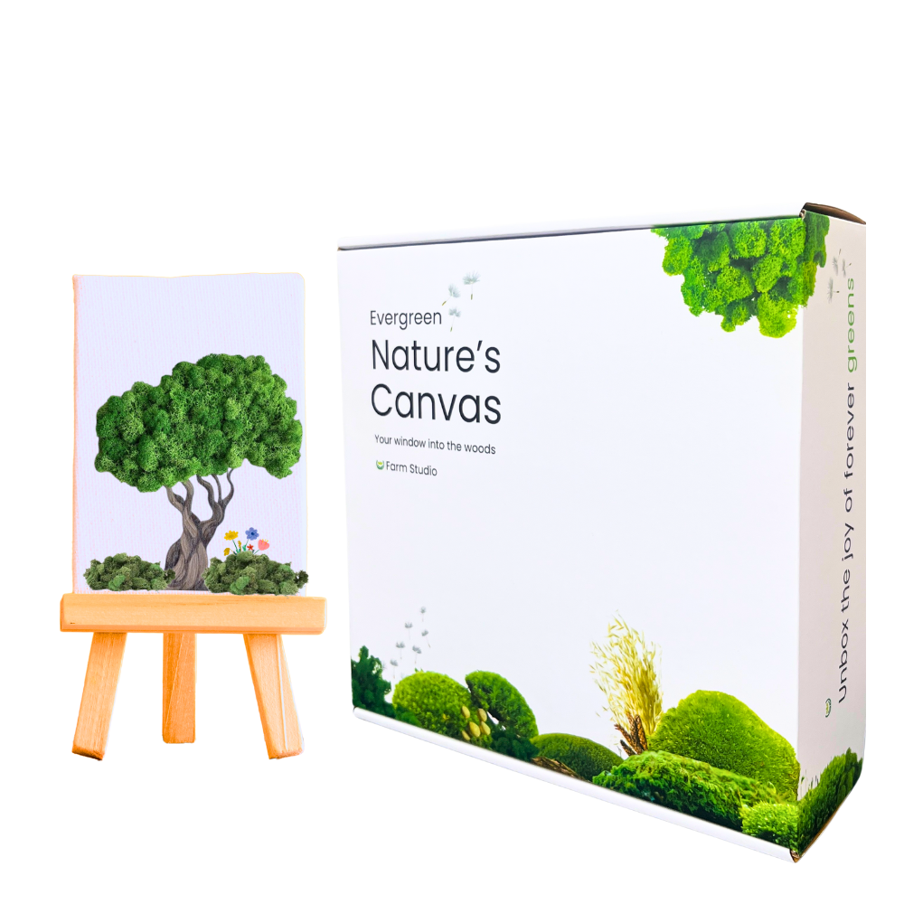 Farm Studio Evergreen Nature'S Canvas Diy Kit | Create Your Own Preserved Moss Wall Art With Paints & Easel | Mixed Media Nature Craft Kit For Adults & Kids | Unique Home Decor & Gift (2 Canvases Included) - Cultivation Type: Organic