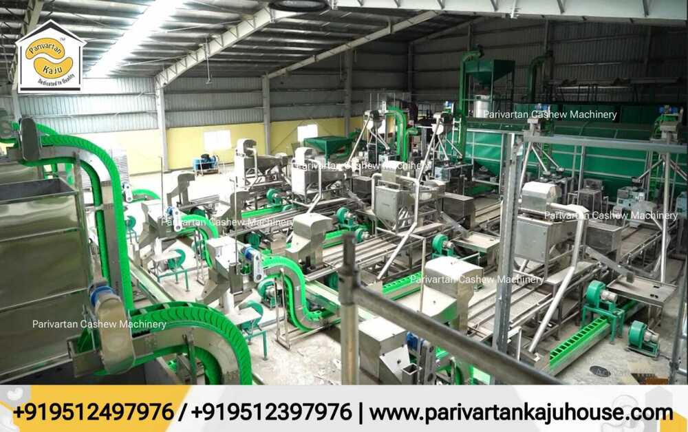 Full Automatic Cashew Processing nut Plant setup