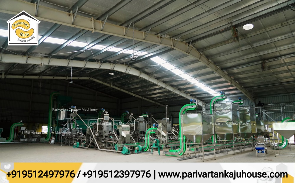 Full Automatic Cashew Processing nut Plant setup