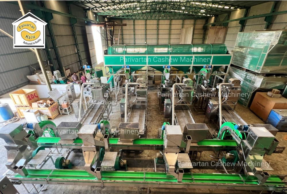 Full Automatic Cashew Nut Processing Plant - 4MT to 100MT Capacity per Shift | Energy-Efficient, High-Speed, Automated, Space-Saving Design