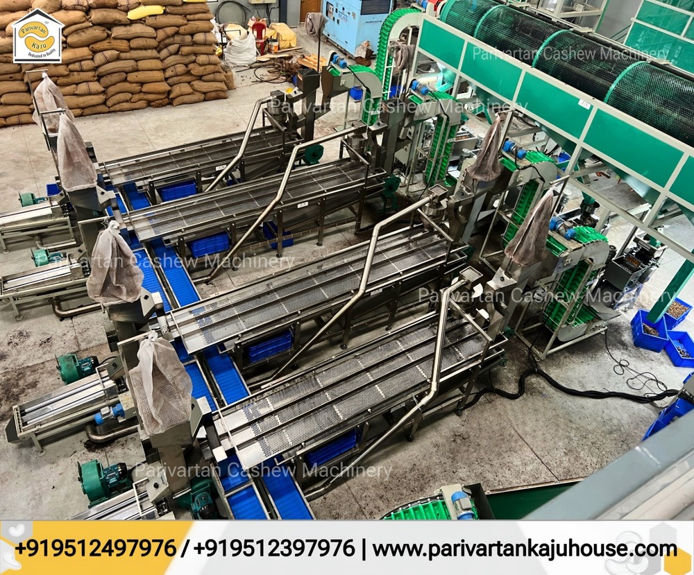 Full Automatic Cashew Nut Processing Plant - 4mt To 100mt Capacity Per Shift | Energy-efficient, High-speed, Automated, Space-saving Design