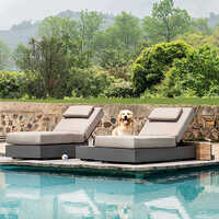 Pool Lounger