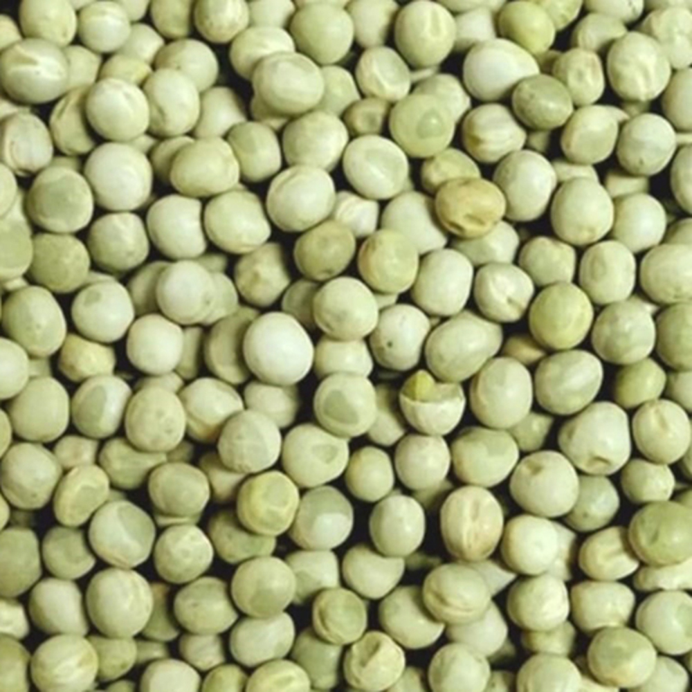 Green Moong Pulse - Cultivation Type: Organic