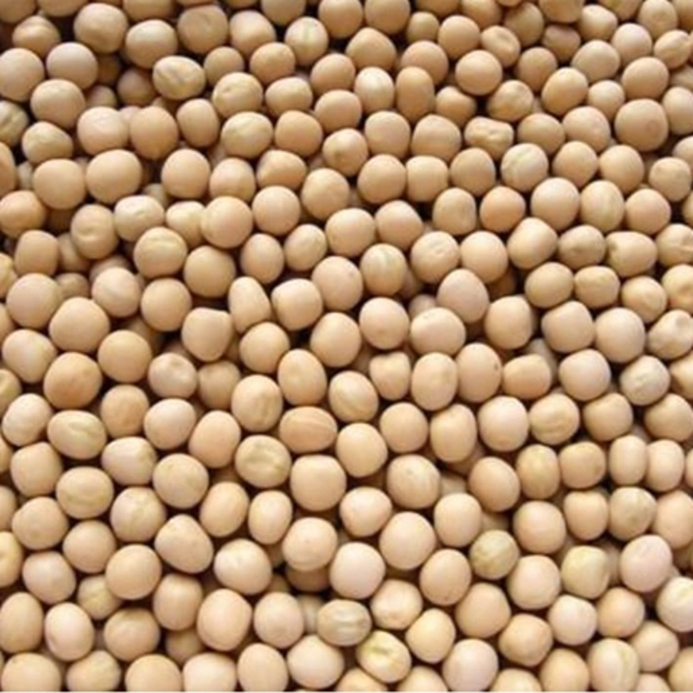 Natural White Peas - Cultivation Type: Organic