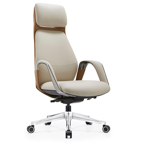 Director Chair