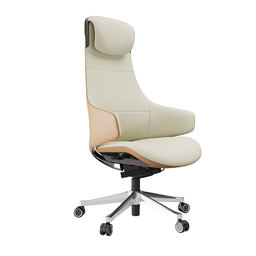 Director Chair