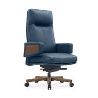 Director Chair