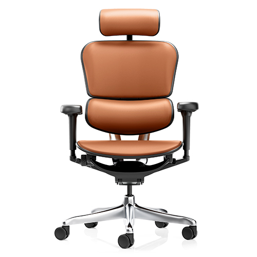 Director Chair