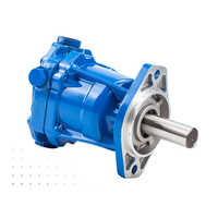 Industrial Hydraulic Motor