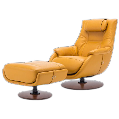 Aesthetic Eames Lounger