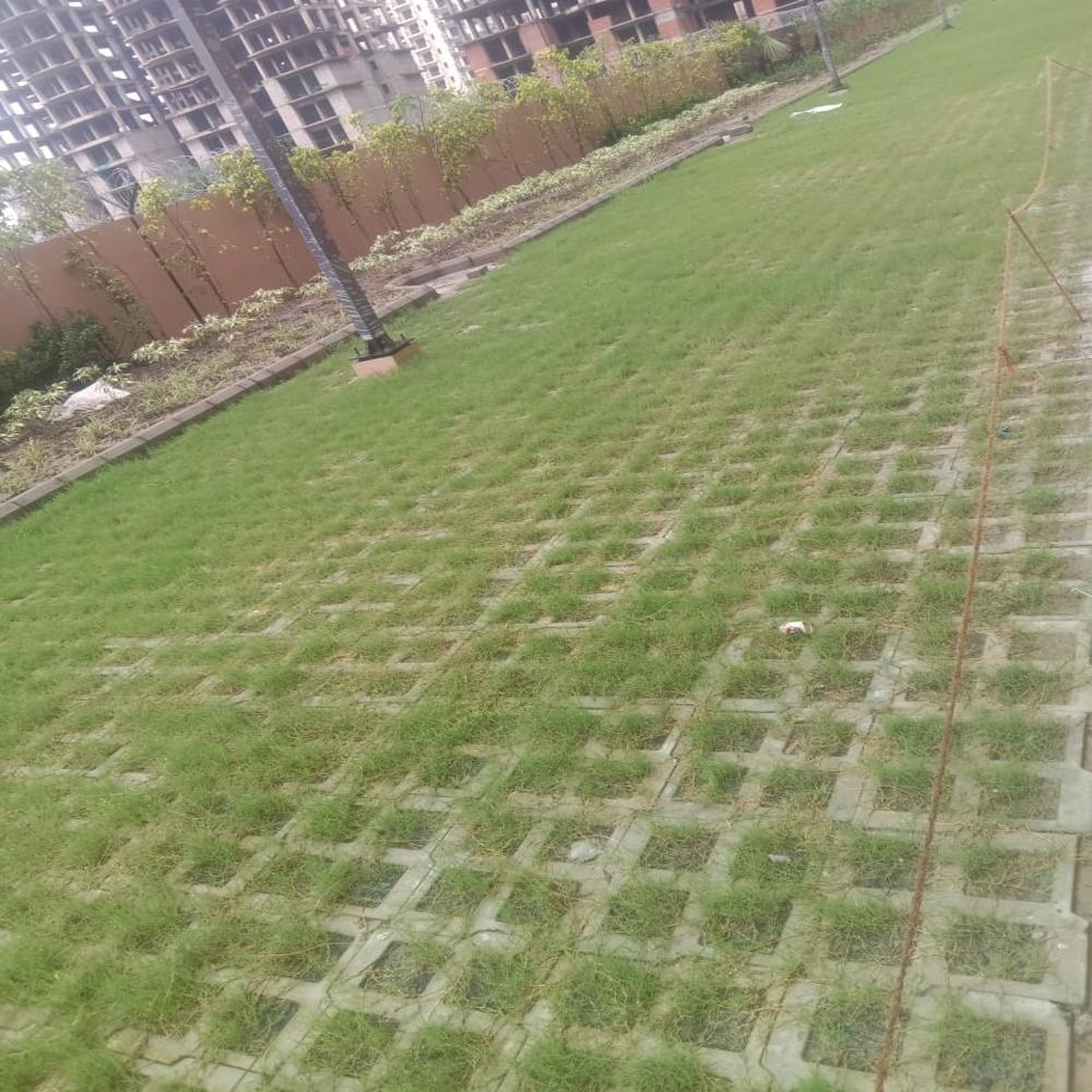 Grass Paver - Color: Gray