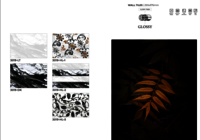 Wall covering tiles