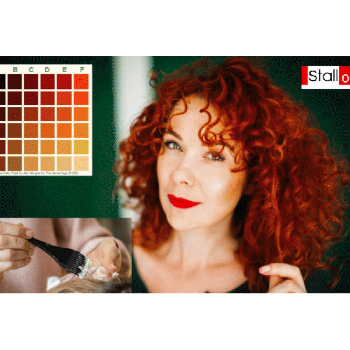 Organic Henna And Indigo Dye For Hair - Color: Multi Colour