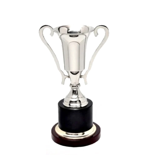 Silver Plated Achievement Trophies - Finishing: Polished