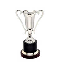 Silver Plated Achievement Trophies - Finishing: Polished