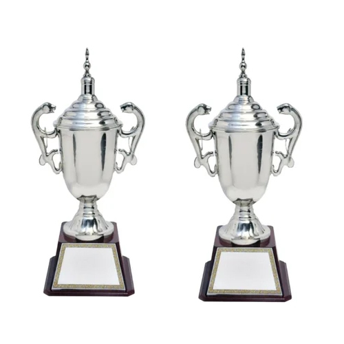 Silver Plated Sports Trophies - Finishing: Polished