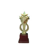 Fiber Gold Sports Trophies