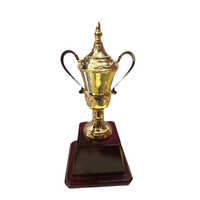 Gold Metal Trophy Cup