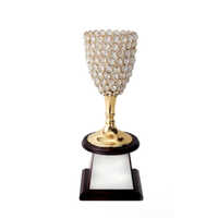 Crystal Metal Trophies