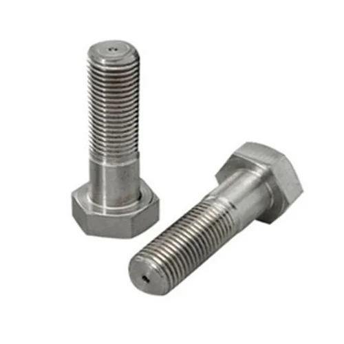 Grade 316 Ss Bolt - Color: Silver