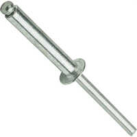 Aluminium Rivet - Color: Silver