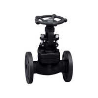 Forged Steel Globe Valve - Color: Black
