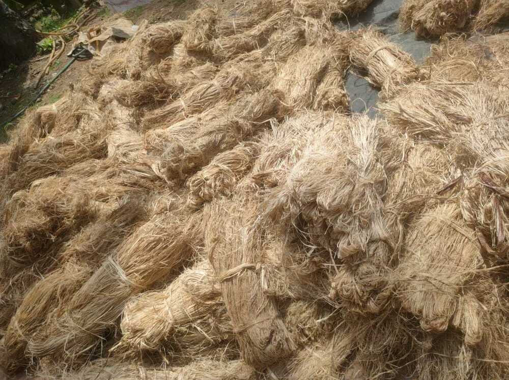 Banana Fiber - Application: Commercial