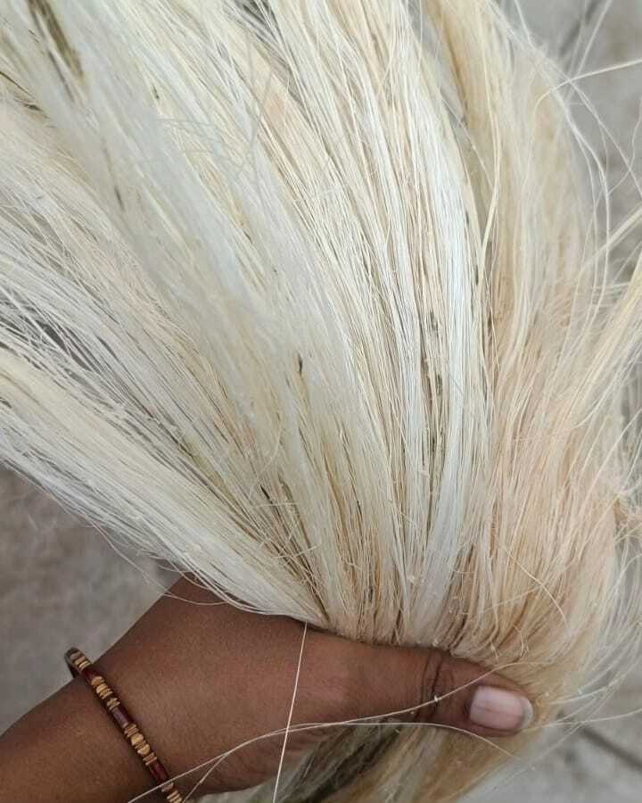 Natural Sisal Fiber - Application: Commercial