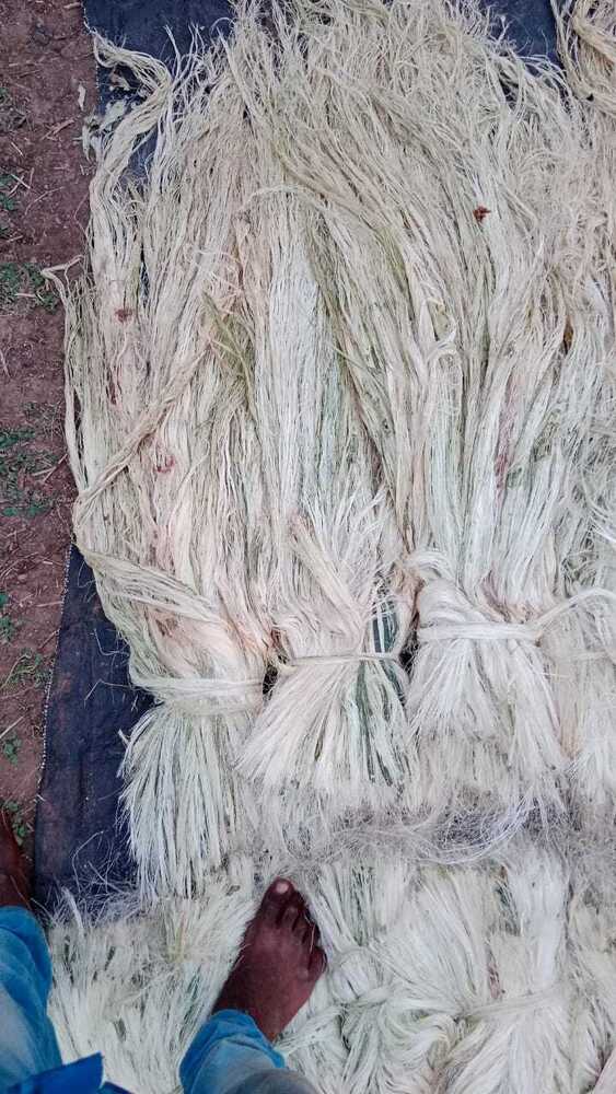 Sisal Fiber - Application: Commercial