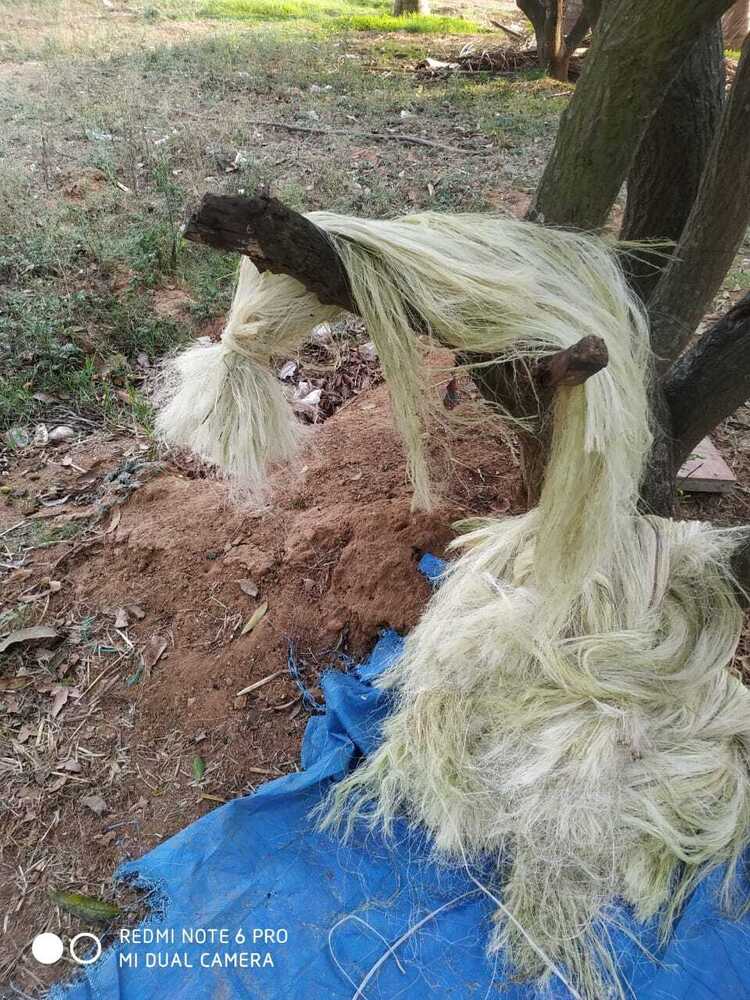 Sisal Fiber - Application: Commercial