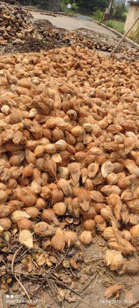 Natural Cocount Fiber - Application: Commercial