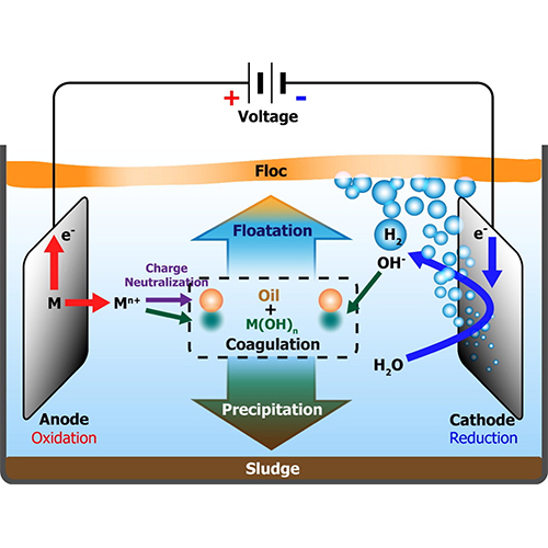 Electrocogultions process